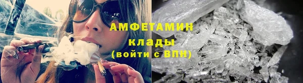 крисы Абаза