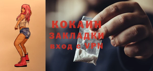 крисы Абаза