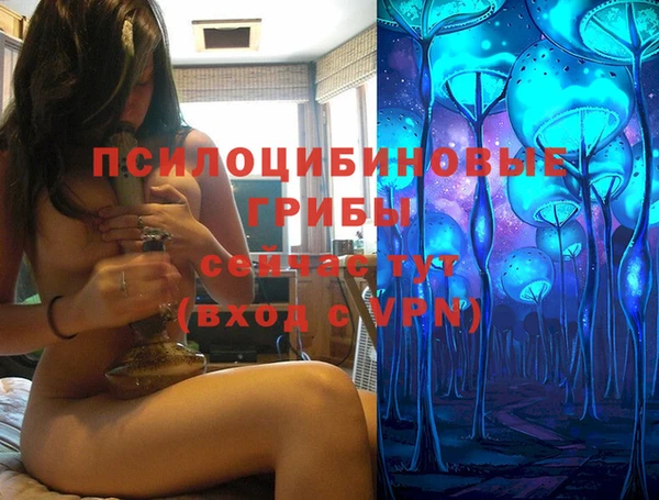 крисы Абаза