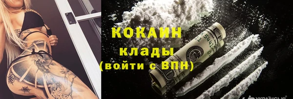 крисы Абаза