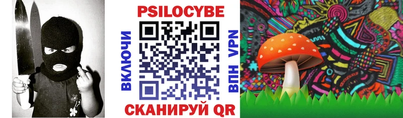 наркотики  Брянск  Галлюциногенные грибы Cubensis 